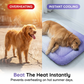 ⏰LAST DAY SALE 50% OFF!!❄Pawchill Pet Cooling Mat for Dogs & Cats 🐾  Naturally Cool Ice-Silk Pad • Breathable, Washable & Soft 🌿  For Floors, Sofas & Car Travel • Multiple Sizes • Gradient Colours ☀️🐶🐱