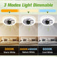 💥2026 HOT SALE 50% OFF💥 2-in-1 Mute Adjustable Fan Light with Remote Control