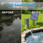 ⚡Last Day Promotion 50% OFF NOW! ✨Solar Pond Aerator with Air Pump