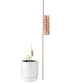 🔥Last Day 50% OFF🌱Copper Spiral Antenna Plant Stakes🌻