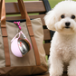 🐶🥳50% OFF NOW!!!🐾 Foldable Pet Water Bottle for Travel – Portable Stainless Steel Hydration Bottle with Silicone Bowl