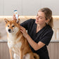 ⌛⏰Limited-Time Offer: Buy 1, Get 1 Free🐈🐕Gentle Pet Ear Cleaner Solution